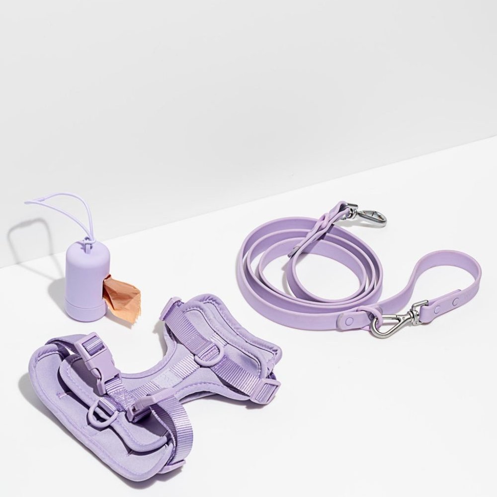 Wild One Harness and Leash Set NWOT